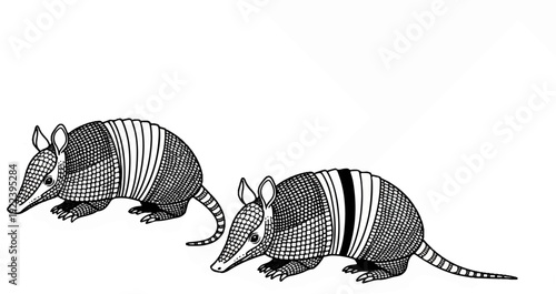 Two armadillos walk on a white background