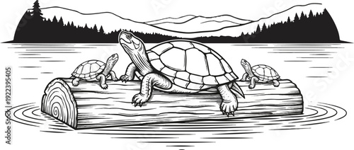 Three turtles perched on a log in water, with a forest and mountains behind