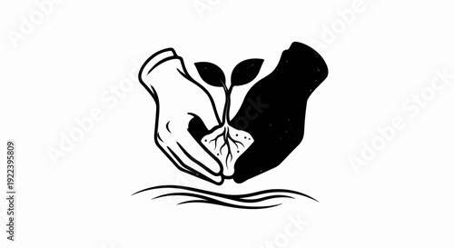 Two hands, one white, one black, cradle a small plant