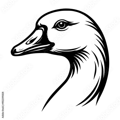 Vector line art illustration of Goose Head.