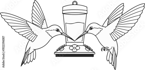 Two hummingbirds feeding from a clear nectar dispenser with a perch