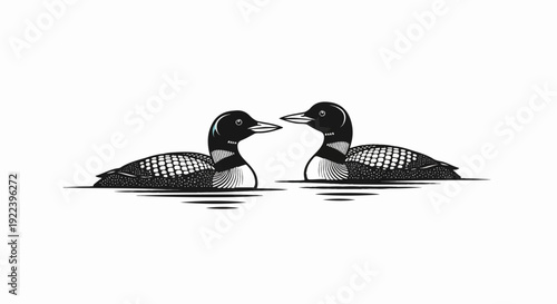 Two loons floating on water, heads close together