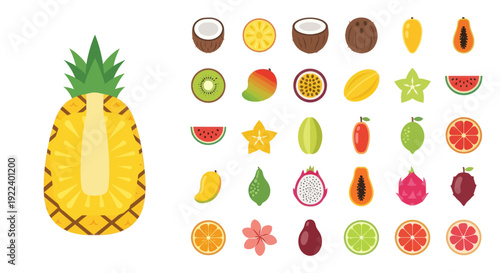 Assortment of Tropical Fruits Collection - Pineapple, Coconut, Mango, Kiwi