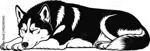 Sleeping husky dog silhouette illustration, cute black and white Siberian puppy resting, pet animal vector isolated background