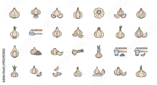 Garlic Icon Set: Whole, Peeled, Sliced, and Crushed Garlic with Tools