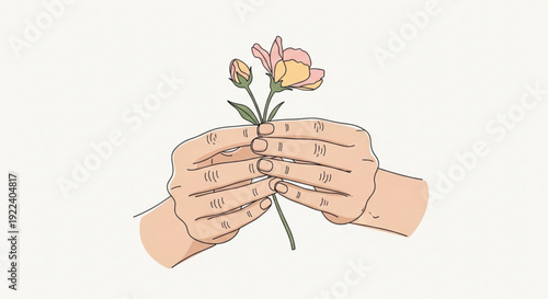 Hands holding and arranging a delicate flower with soft pink and yellow petals against a clean white background