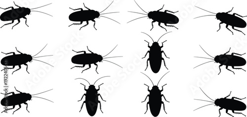 Large black cockroach silhouettes collection in multiple poses, isolated on white background, pest insect icon set for infestation warning, hygiene awareness, extermination services, and pest control 