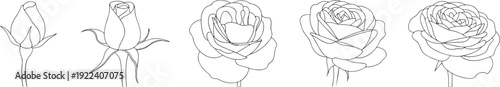 Rose flower outline set with buds and blooming roses, elegant black line art botanical illustrations for tattoo, wedding invitation, logo, isolated on white.