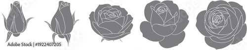 Rose silhouette and line art set with buds and blooming flowers, gray vector botanical illustrations for romance, wedding, tattoo design, isolated on white.