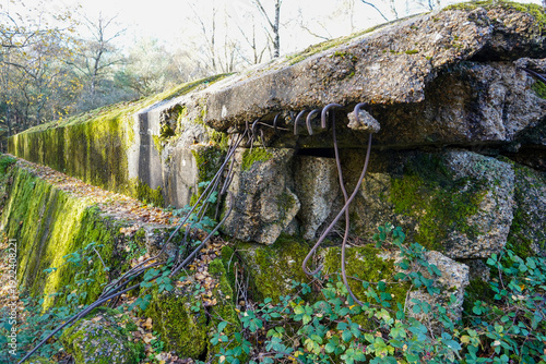 Atlantic Wall in Surrey hills WW2 ruins 