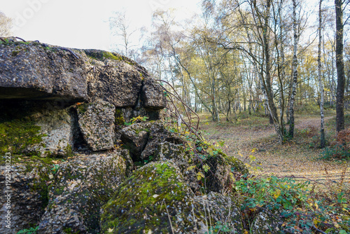 Atlantic Wall in Surrey hills WW2 ruins 