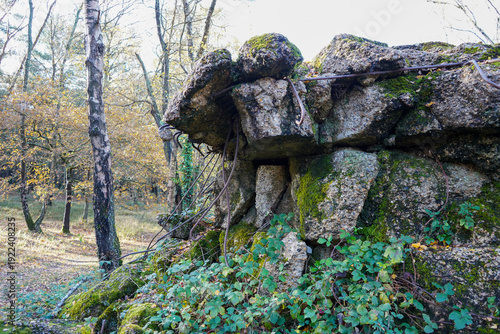 Atlantic Wall in Surrey hills WW2 ruins 