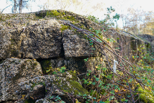 Atlantic Wall in Surrey hills WW2 ruins 