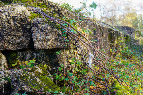 Atlantic Wall in Surrey hills WW2 ruins 