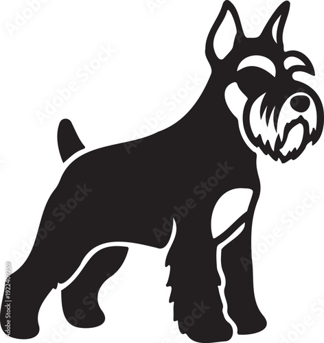 Schnauzer dog vector icon 