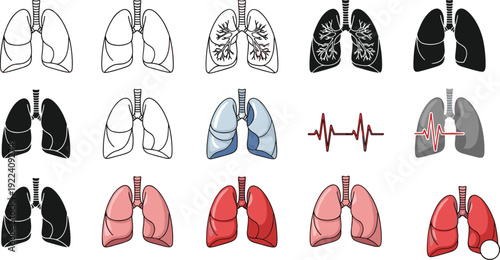 Comprehensive Human Lung Anatomy Vector Set Featuring Realistic  Illustrations Silhouette Outlines And Bronchial Tree Designs For Medical Healthcare Respiratory Education 