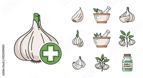 Garlic Icon Set: Bulb, Cloves, Mortar & Pestle, Extract Bottle, Health Symbol