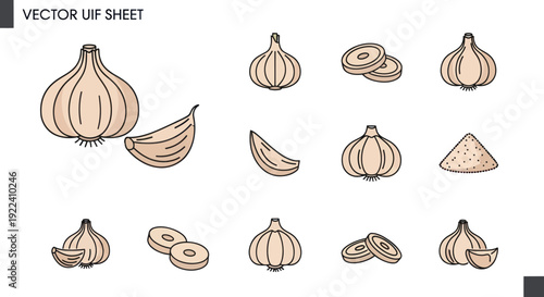 Garlic Icons Set: Whole Bulbs, Cloves, Slices, and Powder - Vector Illustration