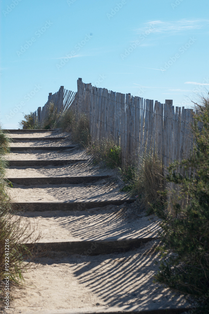 Obraz premium path to the beach