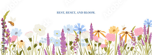 Wild Meadow Flowers Border Banner and Garden Blooms with Bees and Dragonfly in Soft Pastel Botanical Style.