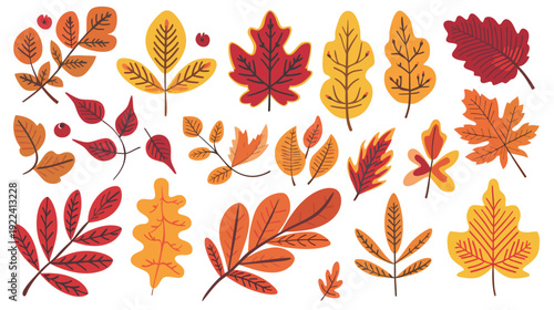 Fall leaves vector design with colorful autumn foliage, maple oak and birch leaf elements isolated on white background, seasonal nature decoration set for harvest festival, thanksgiving and branding 