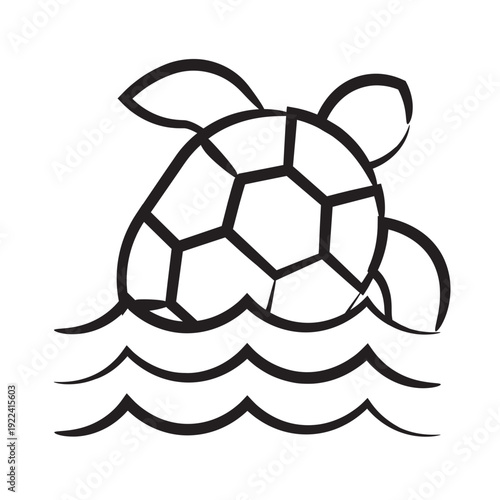 Sea turtle