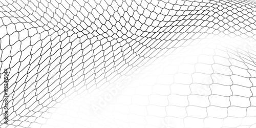 Black snake skin pattern isolated on white background eps 10