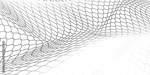 Black snake skin pattern isolated on white background eps 10