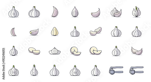 Garlic Collection: Whole Bulbs, Cloves, Slices & Garlic Press Icons