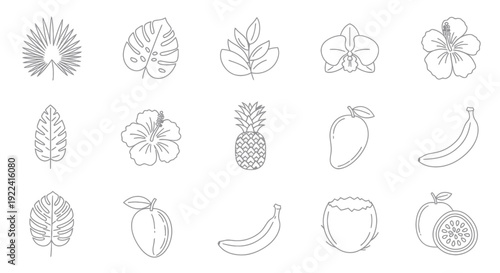 Tropical Outline Icons: Leaves, Flowers, Fruits, Pineapple, Banana, Mango, Coconut
