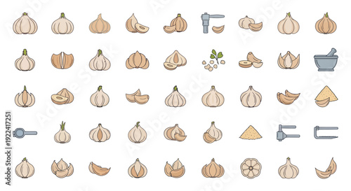 Garlic Collection: Whole Bulbs, Cloves, Slices, and Kitchen Tools Icon Set