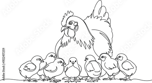 Mother hen standing proudly with her adorable baby chicks together outdoors