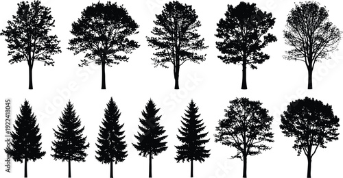 Collection of diverse tree silhouettes including deciduous and coniferous species Keywords: tree, silhouette, deciduous