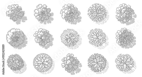 Set of Stylized Top-Down Tree Icons for Architectural and Landscape Design