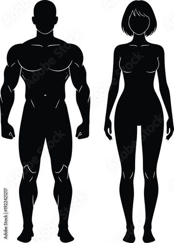 Silhouette of muscular male and slender female figures standing side by side Keywords: male, female, silhouette, human, body