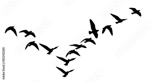Birds flying in V formation, a flock of seagulls migrating across the sky