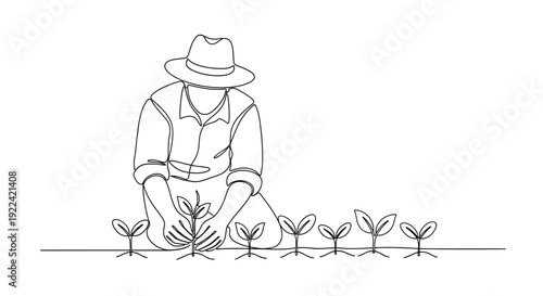 A farmer wearing a hat and shirt is planting seedlings in a row of young plants.
