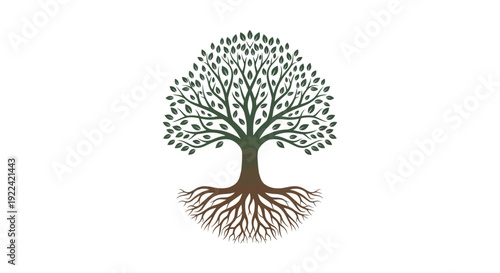 A stylized illustration of a large, leafy tree with intricate, exposed roots spreading outwards against a white background.