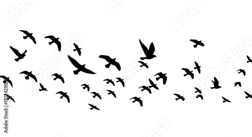 Flock of Birds Flying Silhouettes Against a White Background - Seamless Pattern