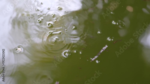 Close-Up View of Gentle Water Ripples Creating Abstract Patterns in Greenish Surface of Calm Water Body