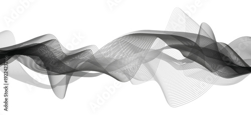 Abstract background with flowing lines and curves in black and white forming waves on transparent background technology and data flow concept vector art