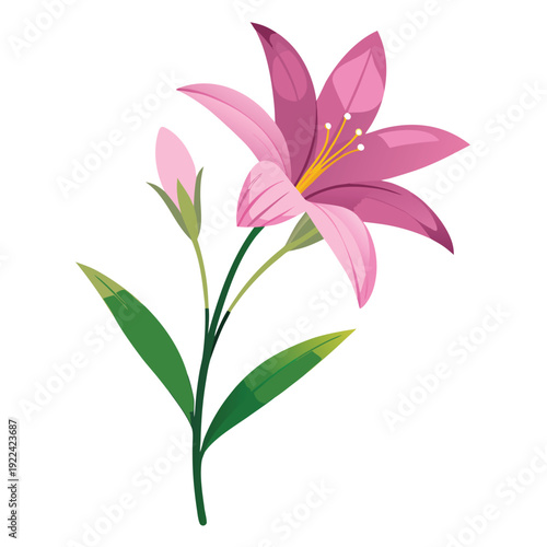 Fotografía Adobe Illustrator Artwork zephyranthes rosea flower