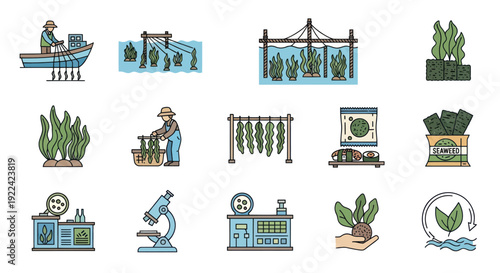 Colorful Hand-Drawn Seaweed Farming and Processing Icons Set.