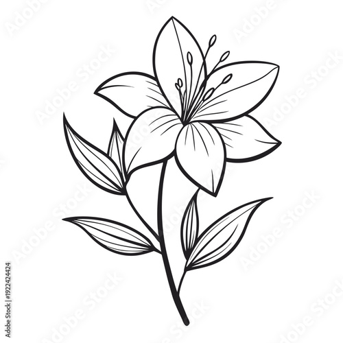 black and white flower