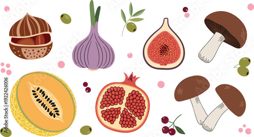Autumn Harvest Vector Set with Pomegranate Melon Fig Mushrooms Garlic and Nut Isolated on White Background for Fall Seasonal Design