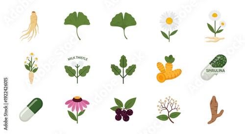 Collection of Botanical Illustrations for Natural Health and Wellness.