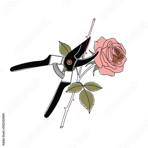 Black pruning shears cutting pink rose stem gardening tool