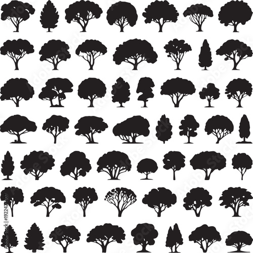 silhouette tree line drawing set, Side view, set of graphics trees elements outline symbol for architecture and landscape design drawing. Vector illustration in stroke fill in white. Tropical