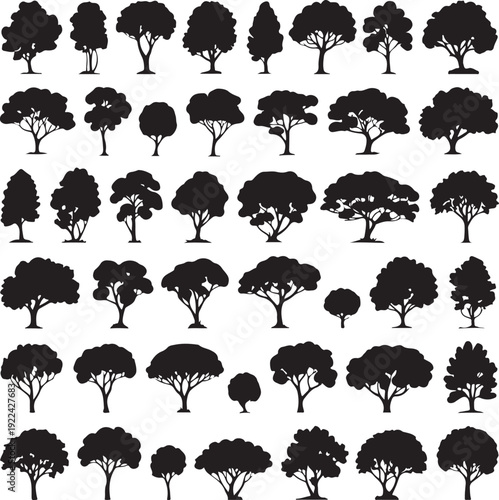 silhouette tree line drawing set, Side view, set of graphics trees elements outline symbol for architecture and landscape design drawing. Vector illustration in stroke fill in white. Tropical