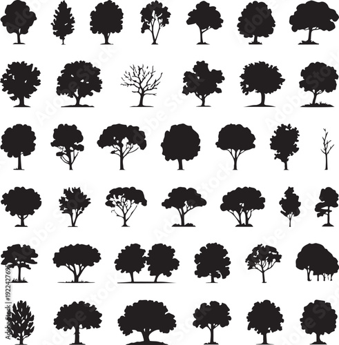 silhouette tree line drawing set, Side view, set of graphics trees elements outline symbol for architecture and landscape design drawing. Vector illustration in stroke fill in white. Tropical